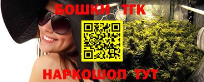 прущий лед Будённовск