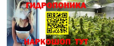 прущий лед Будённовск