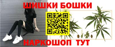 прущий лед Будённовск