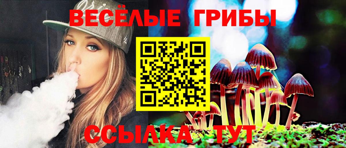 Псилоцибиновые грибы GOLDEN TEACHER Мегион